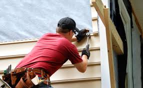 Best Vinyl Siding Installation  in Colfax, IL